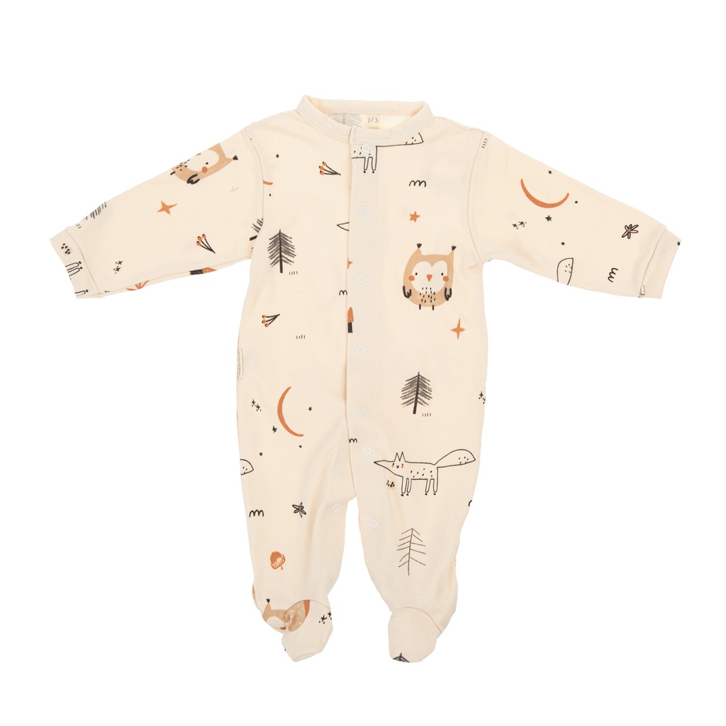 Pijama Wonderland